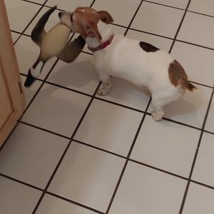 Meet your Posher, Angie